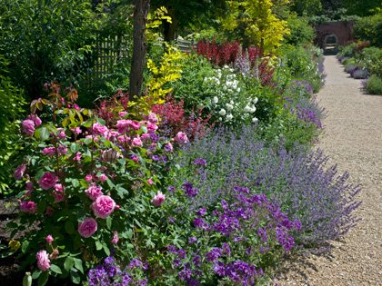 Peter Coats border