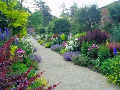 Peter Coats border in the month of June