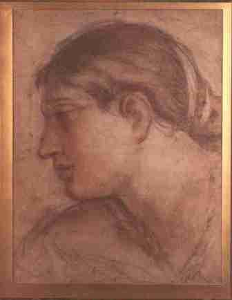 Head of a Woman in profile to the left (No.320) by Pietro da Cortona Head of a Woman in profile to the left (No.320) by Pietro da Cortona